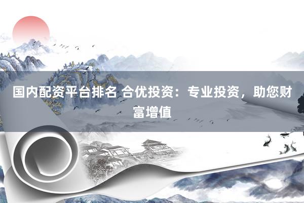 國內(nèi)配資平臺排名 合優(yōu)投資：專業(yè)投資，助您財(cái)富增值